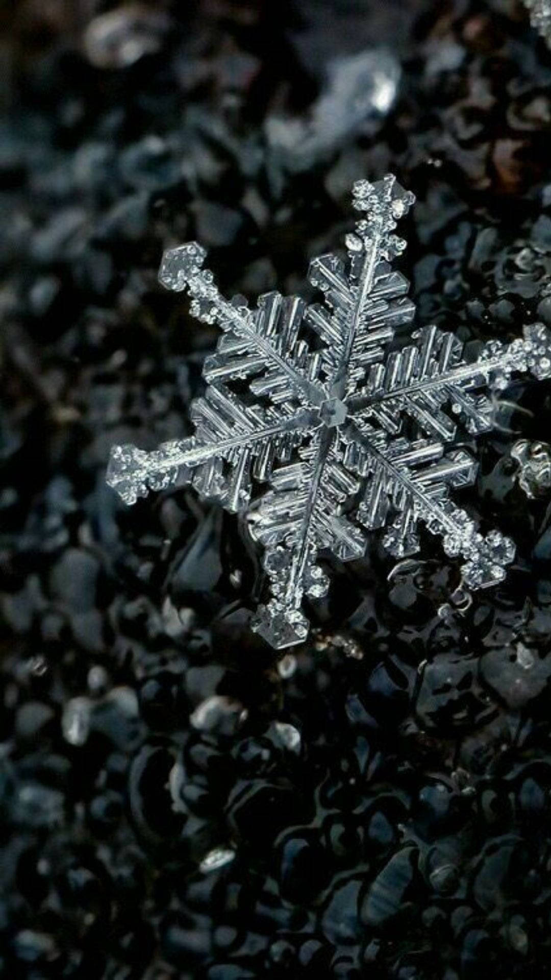 Snowflake iPhone 桌布 壁紙 — 一個複雜的冰晶雪花輕輕地躺在柔光下深色潮濕的卵石床上。