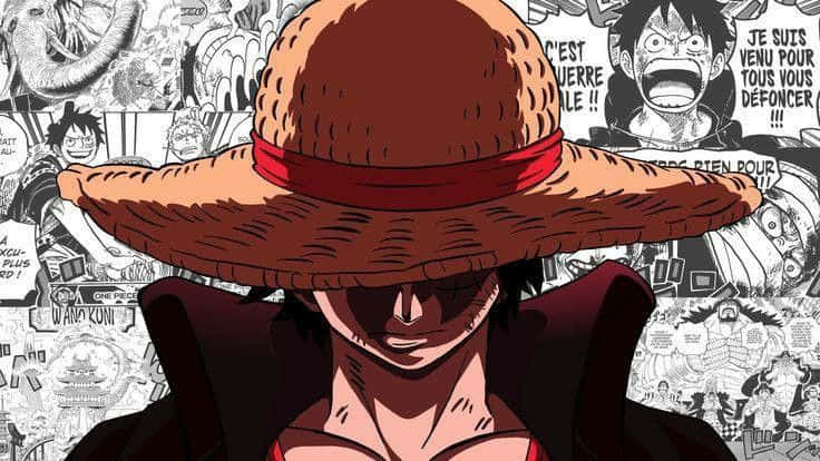 one piece 壁紙 — 一個角色戴著寬邊草帽，帽上有紅色帶子，背景是漫畫格子的特寫。