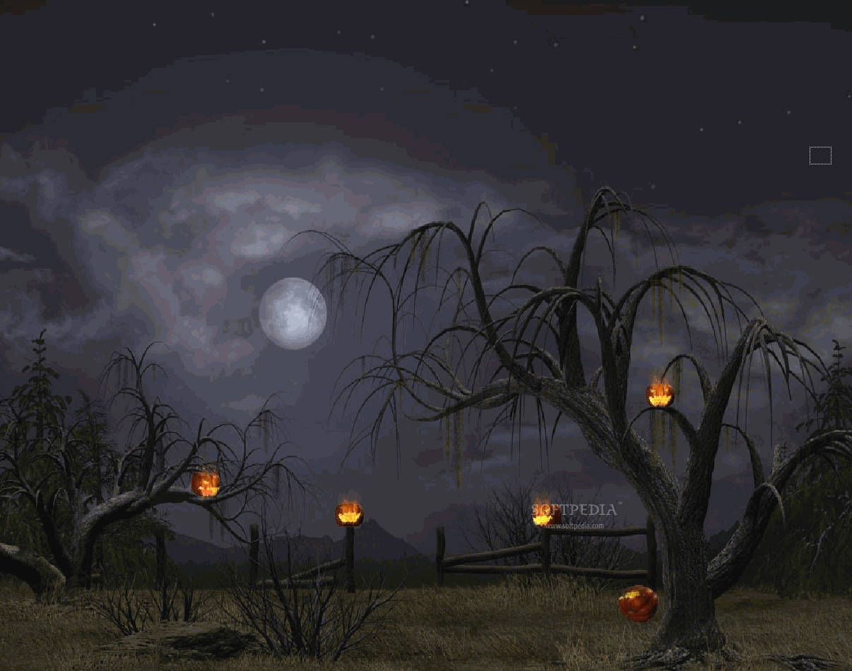Dark Halloween 桌布 壁紙 — 一個詭異的夜晚場景，有光禿禿的樹木、發光的南瓜燈，以及暴風雲後面的滿月。
