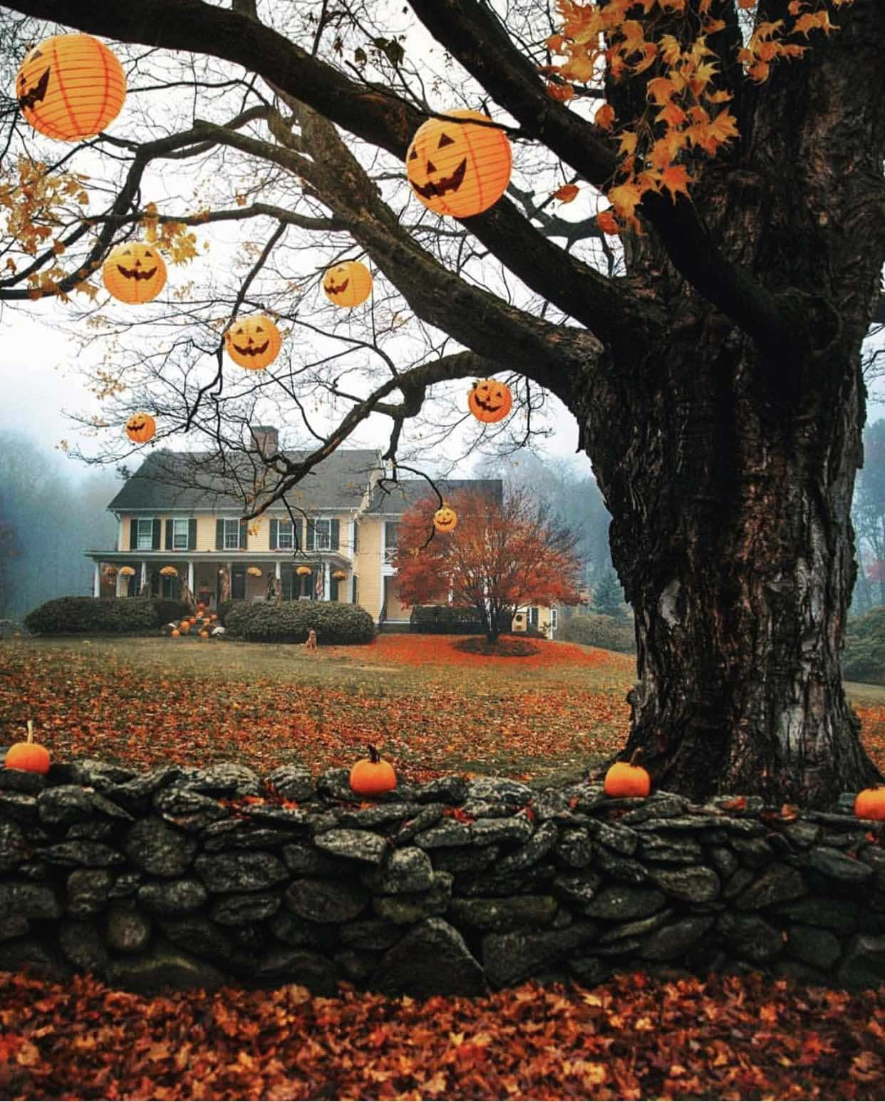 Beautiful Autumn 桌布 壁紙 — 一個詭異的萬聖節場景，大樹上掛著傑克南瓜燈籠，下方是石牆和秋葉。