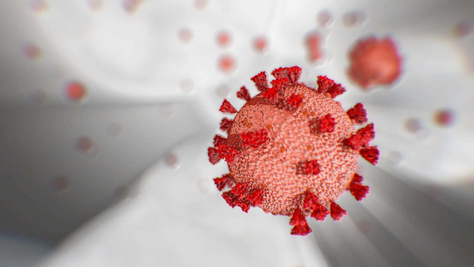 Coronavirus 桌布 壁紙 — 一個詳細的3D渲染，顯示一個帶有刺突蛋白的紅色冠狀病毒顆粒，漂浮在模糊的白色背景中。