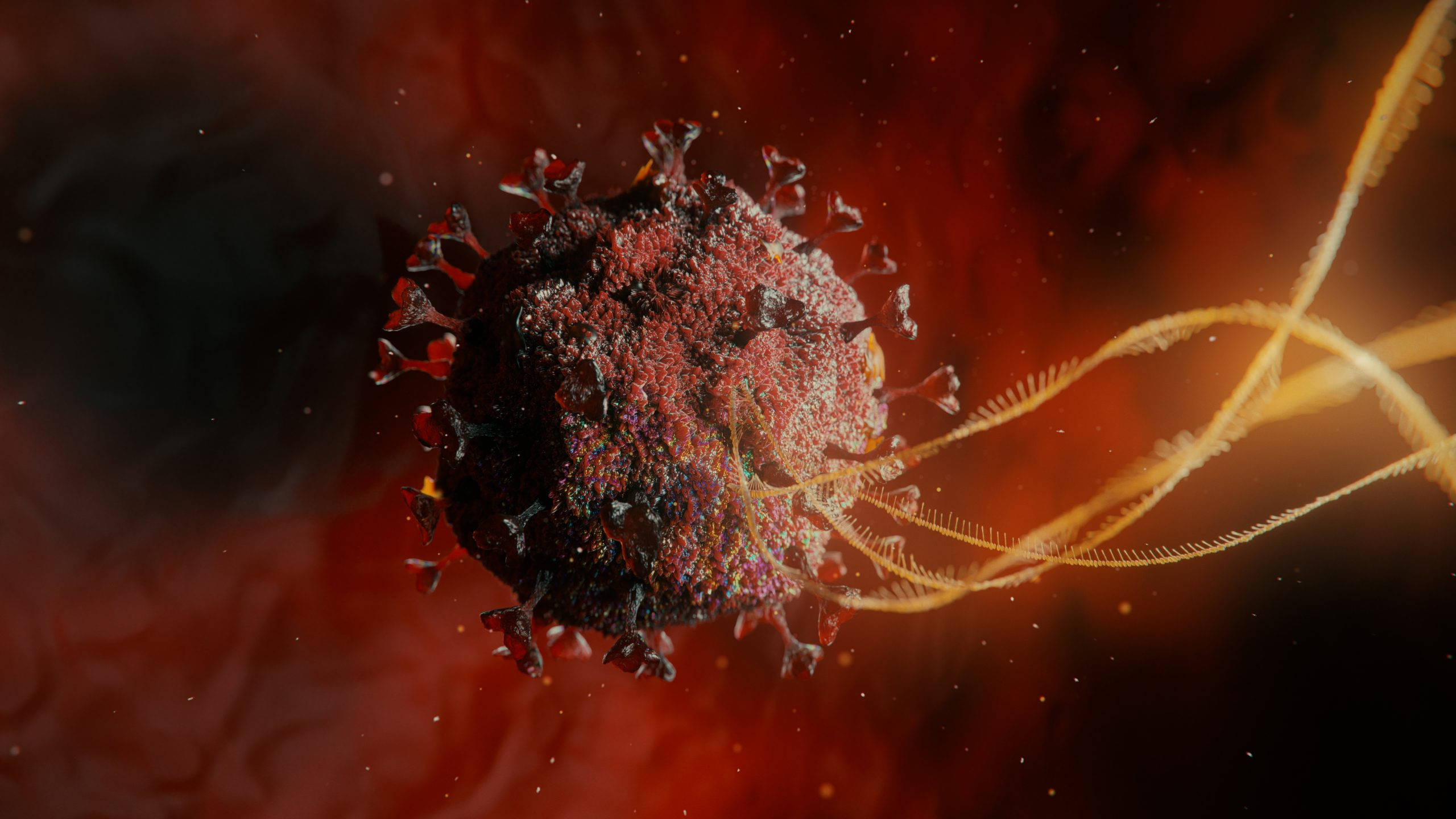 Coronavirus 桌布 壁紙 — 一個詳細的3D渲染，顯示帶有刺突蛋白的病毒粒子漂浮在發光的紅色和橙色細胞環境中。