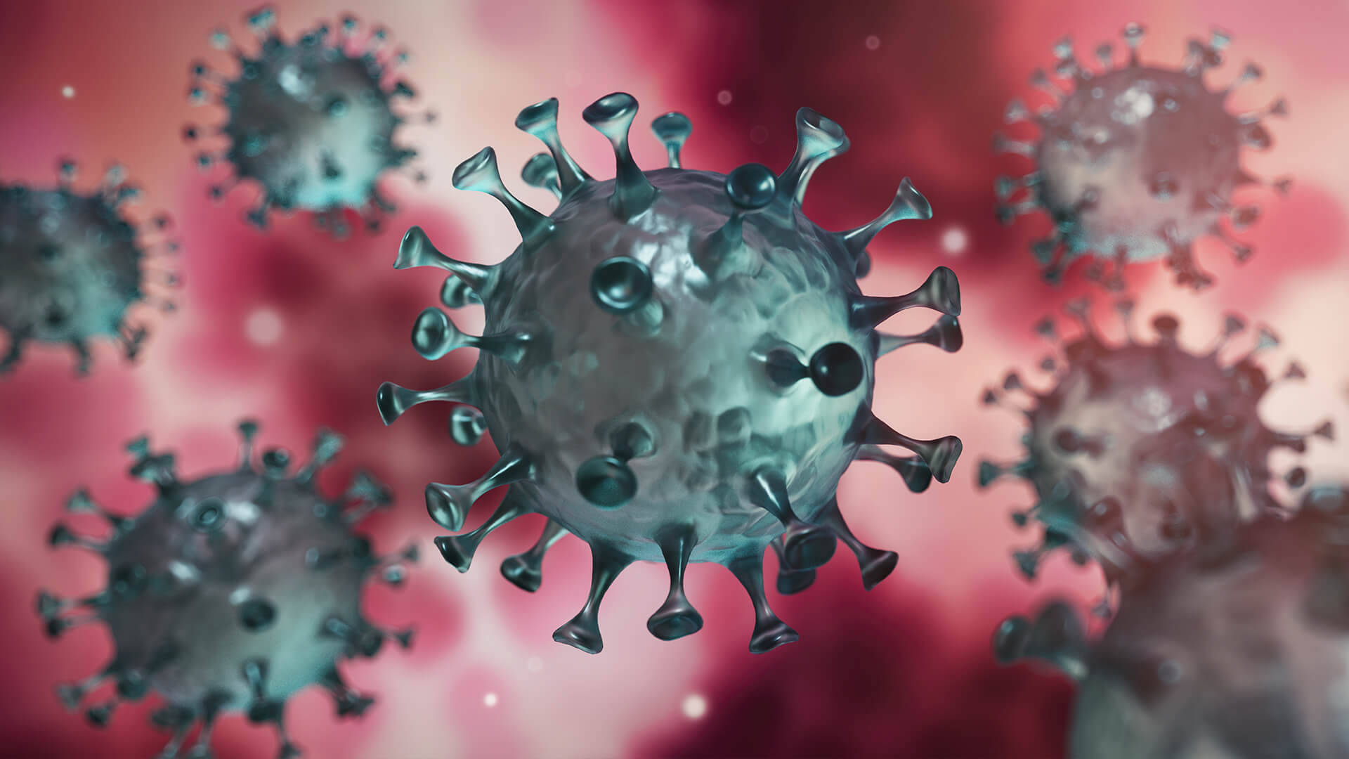 Coronavirus 桌布 壁紙 — 一個詳細的3D渲染，顯示帶有棘突蛋白的病毒顆粒在模糊的紅色和粉紅色背景上漂浮。