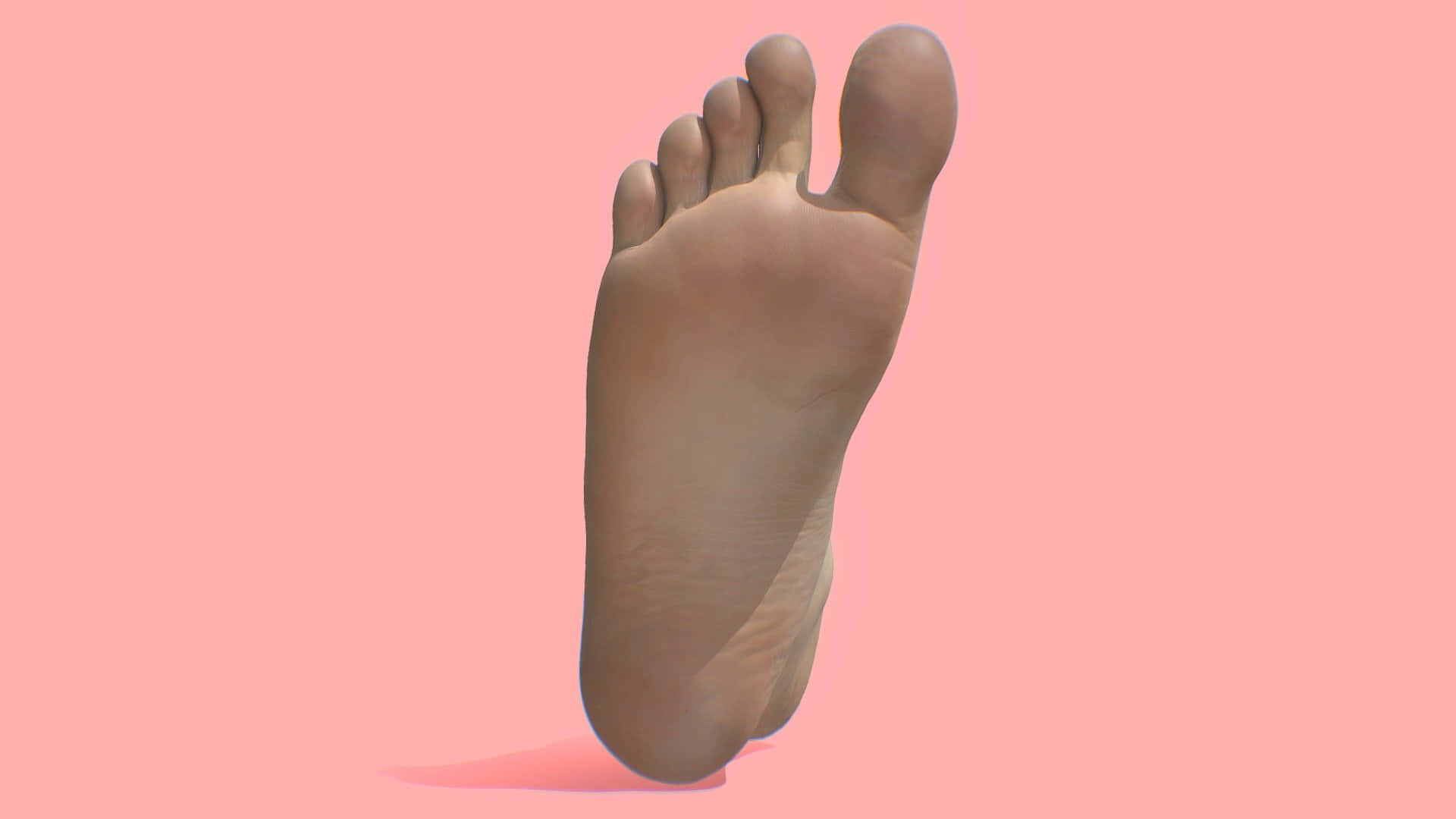 feet 桌布 壁紙 — 一個詳細的3D渲染人類腳部，孤立在柔和的粉紅色背景上，帶有微妙的陰影。