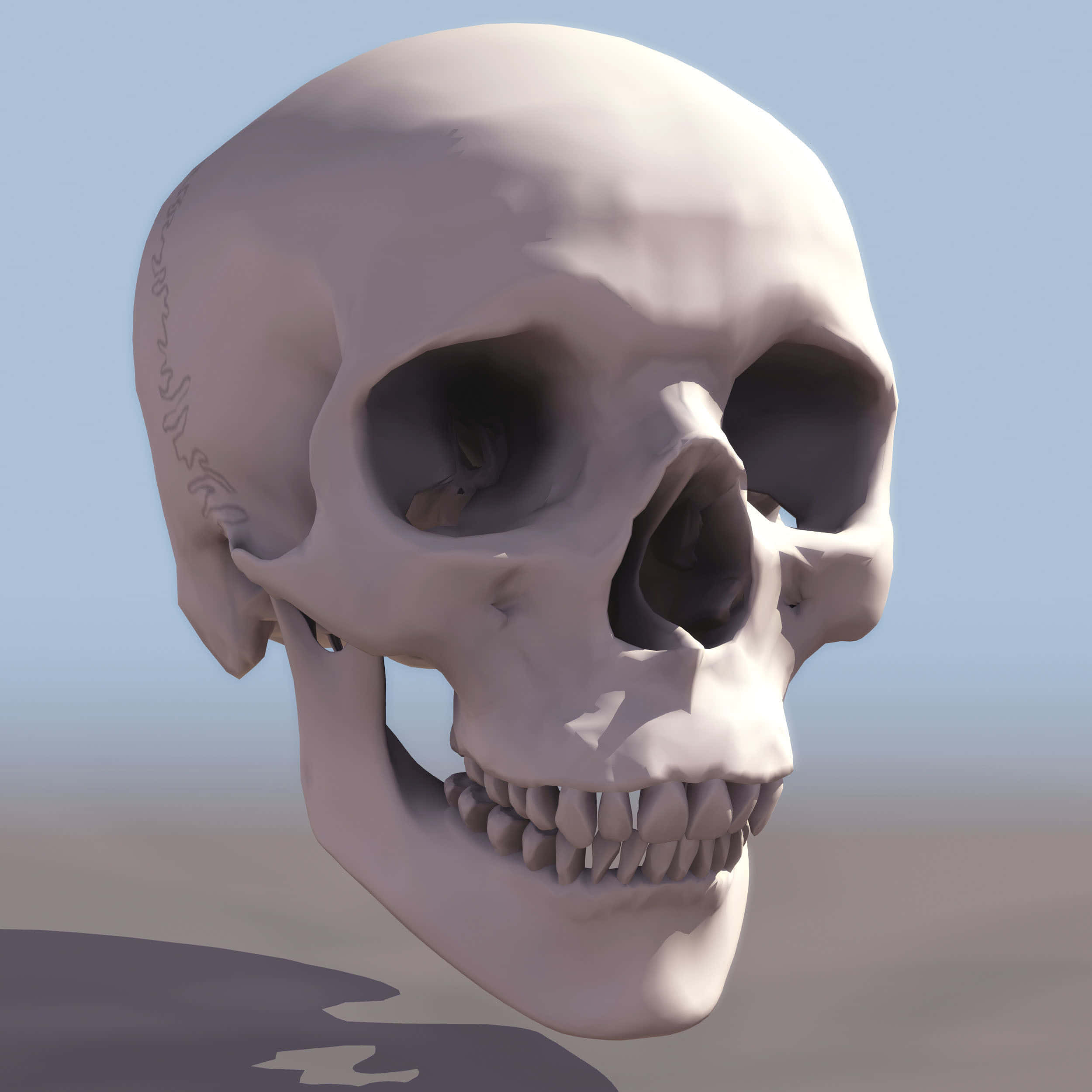 3d Skull 桌布 壁紙 — 一個詳細的3D渲染人類頭骨，側面帶有模糊的文字，漂浮在柔和的漸變天空前。
