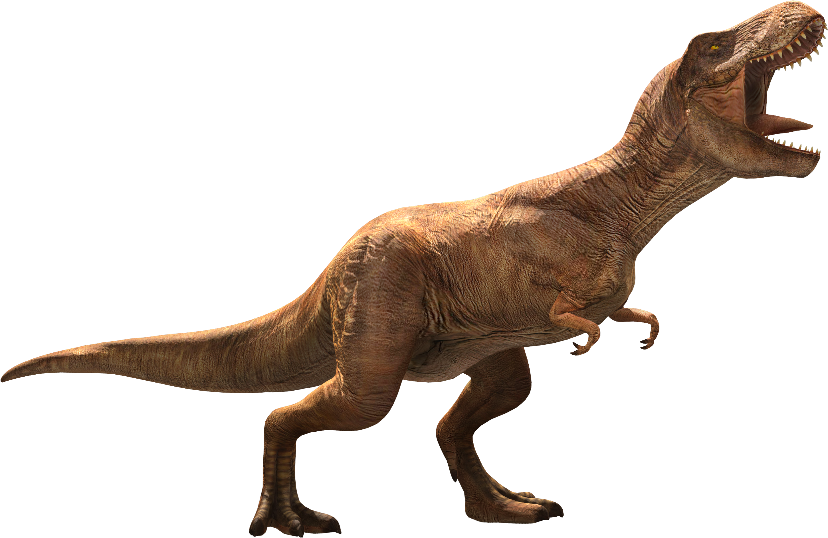 Tyrannosaurus Rex 桌布 壁紙 — 一個詳細的3D渲染暴龍以咆哮姿態站在純黑色背景前。