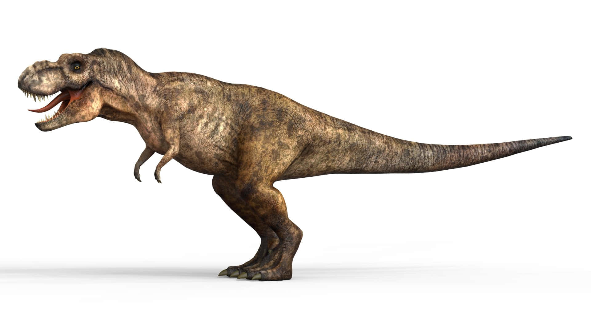 Realistic Dinosaur 桌布 壁紙 — 一個詳細的3D渲染暴龍側面站立在純白背景上，嘴巴張開露出鋒利的牙齒。