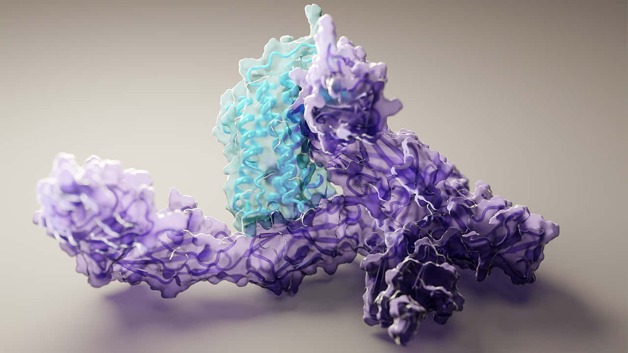 一個3D渲染的分子蛋白質結構，帶有紫色和青色絲帶。 — 科學 GIF 壁紙