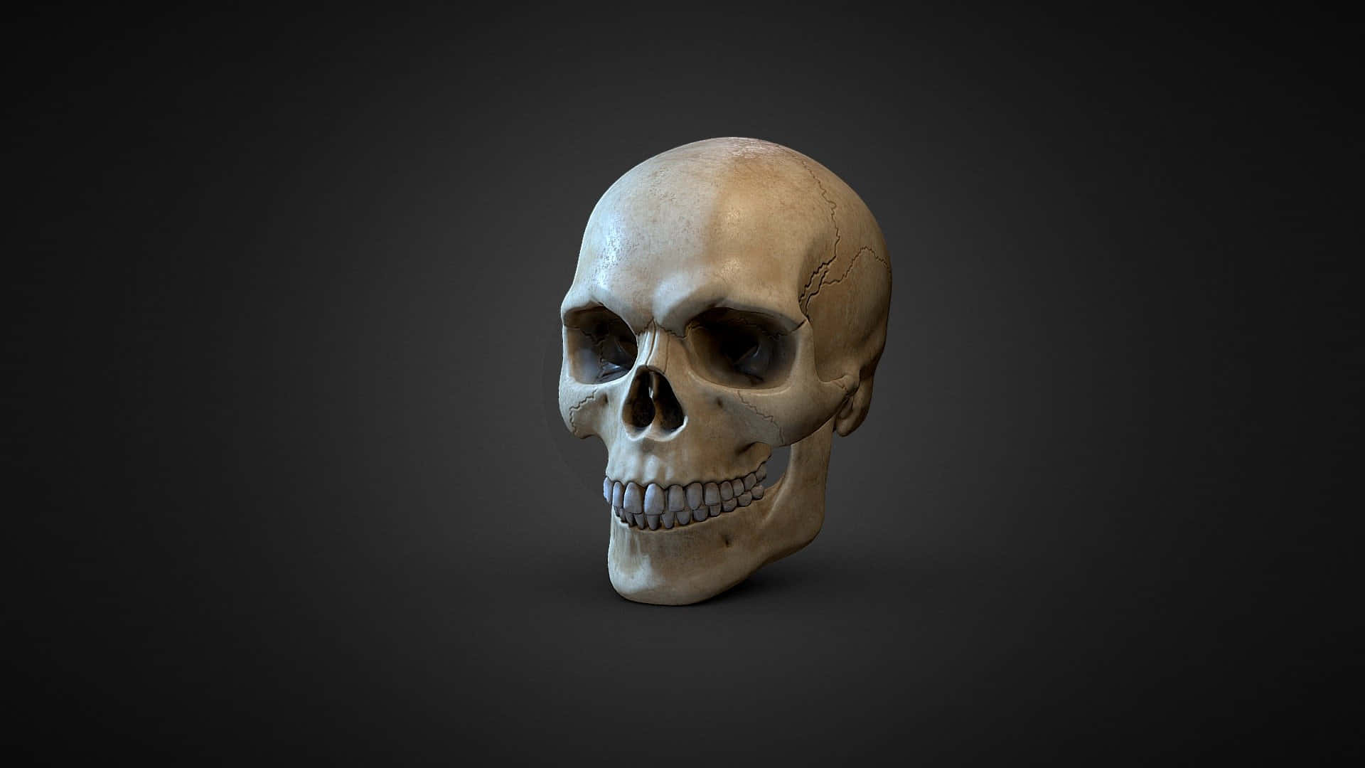 3d Skull 桌布 壁紙 — 一個詳細的人類頭骨，帶有可見的牙齒和裂縫，置於深色漸變背景上。