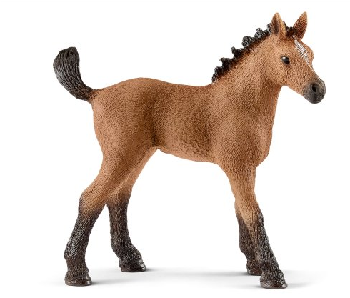 Foal 桌布 壁紙 — 一個詳細的塑膠模型，展示一匹棕色小馬，擁有黑色鬃毛、尾巴和腿，側面站立在純白色背景前。