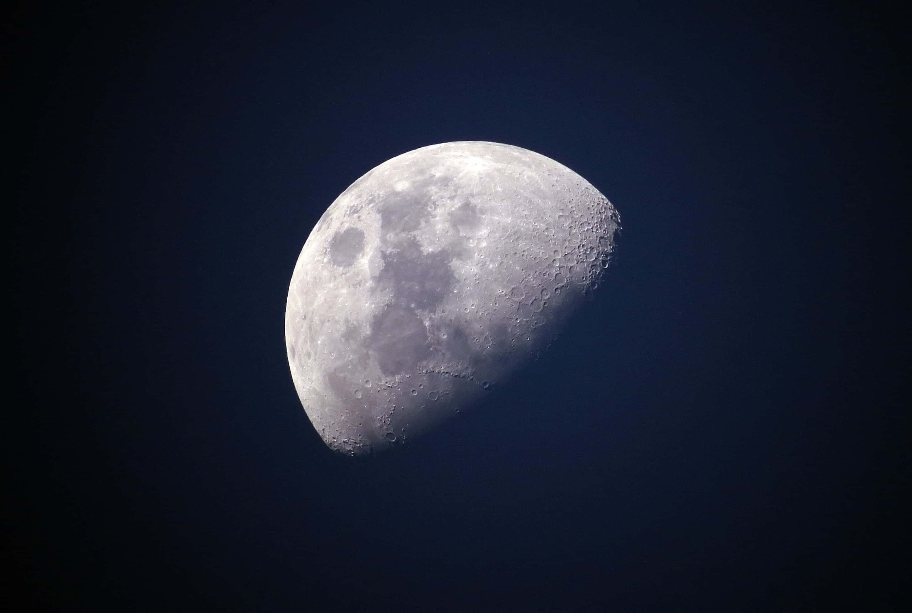 Half Moon 桌布 壁紙 — 一個詳細的彎月，帶有隕石坑和月海，在深靛藍色的夜空中柔和發光。