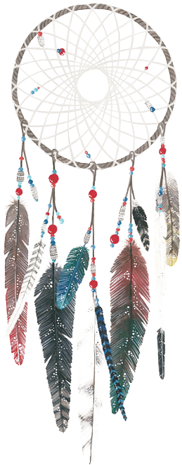 dreamcatcher 桌布 壁紙 — 一個詳細的捕夢網，帶有複雜的網狀編織和色彩繽紛的羽毛，優雅地懸掛在透明背景上。