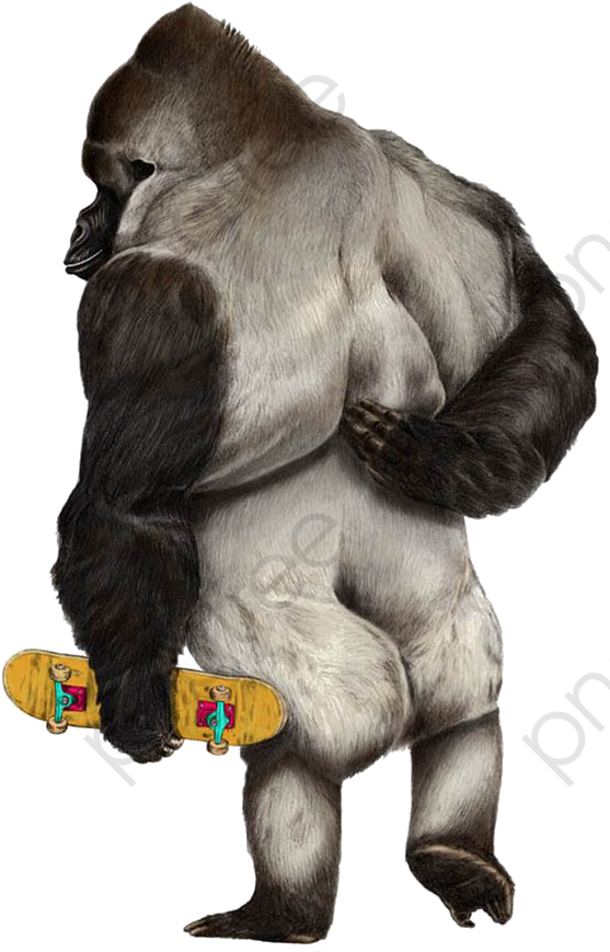 Gorilla 桌布 壁紙 — 一個詳細的插圖，描繪一隻大猩猩直立站立，自信地拿著一個色彩繽紛的滑板。