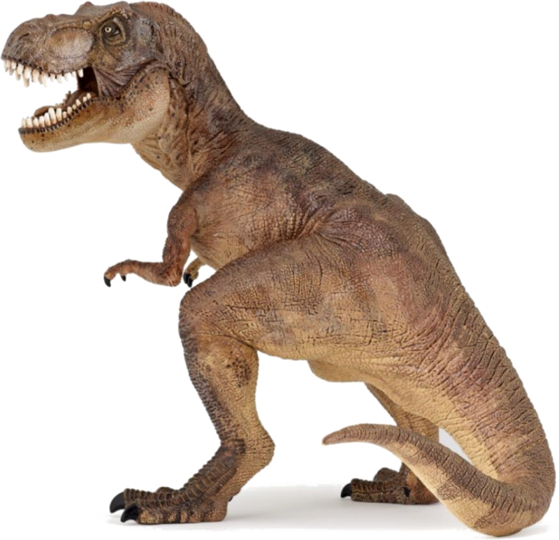 T Rex Dinosaur 桌布 壁紙 — 一個詳細的棕色暴龍模型，張開嘴巴，皮膚有紋理，站在純白色背景前。