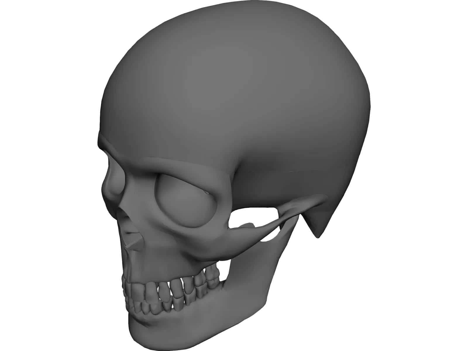 3d Skull 桌布 壁紙 — 一個詳細的灰階3D渲染人類頭骨，以側面輪廓顯示在純白色背景上。