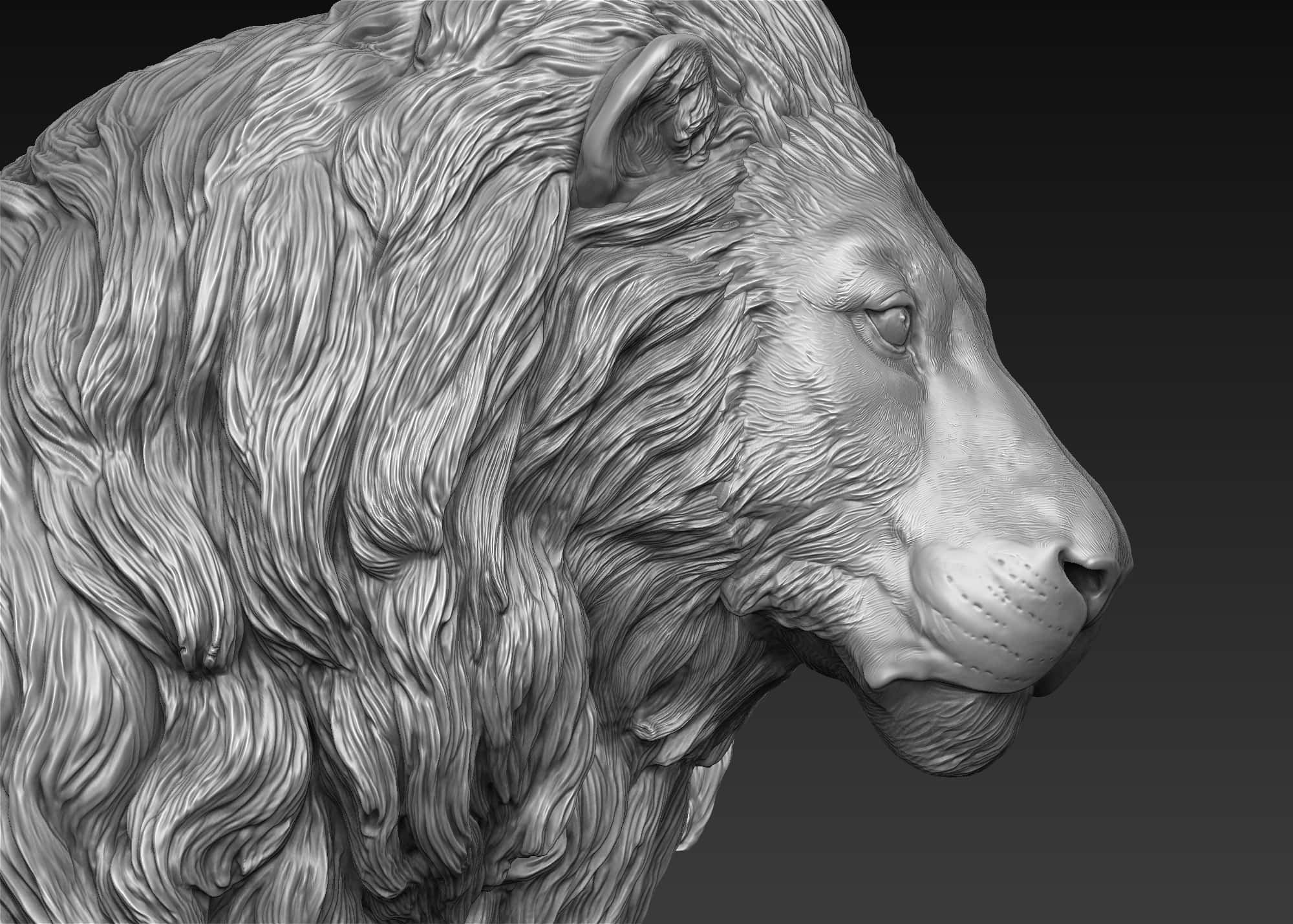 Lion Head 桌布 壁紙 — 一個詳細的灰階3D渲染獅子頭部側面，展示紋理鬃毛和莊嚴表情，背景為深色漸變。