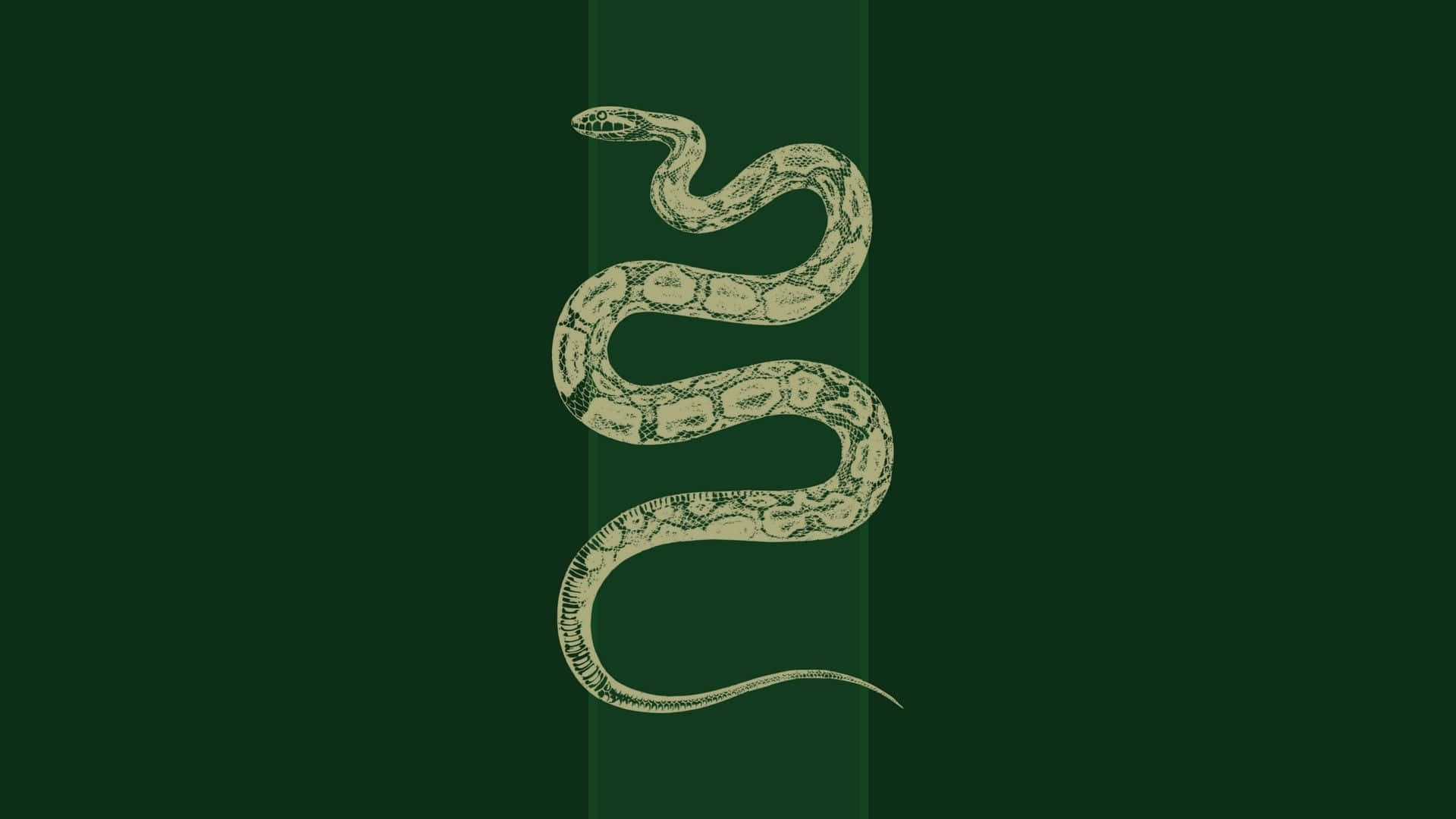 Harry Potter Serpent 桌布 壁紙 — 一個詳細的米色蛇插圖垂直盤繞在帶有微妙垂直條紋的深綠色背景上。