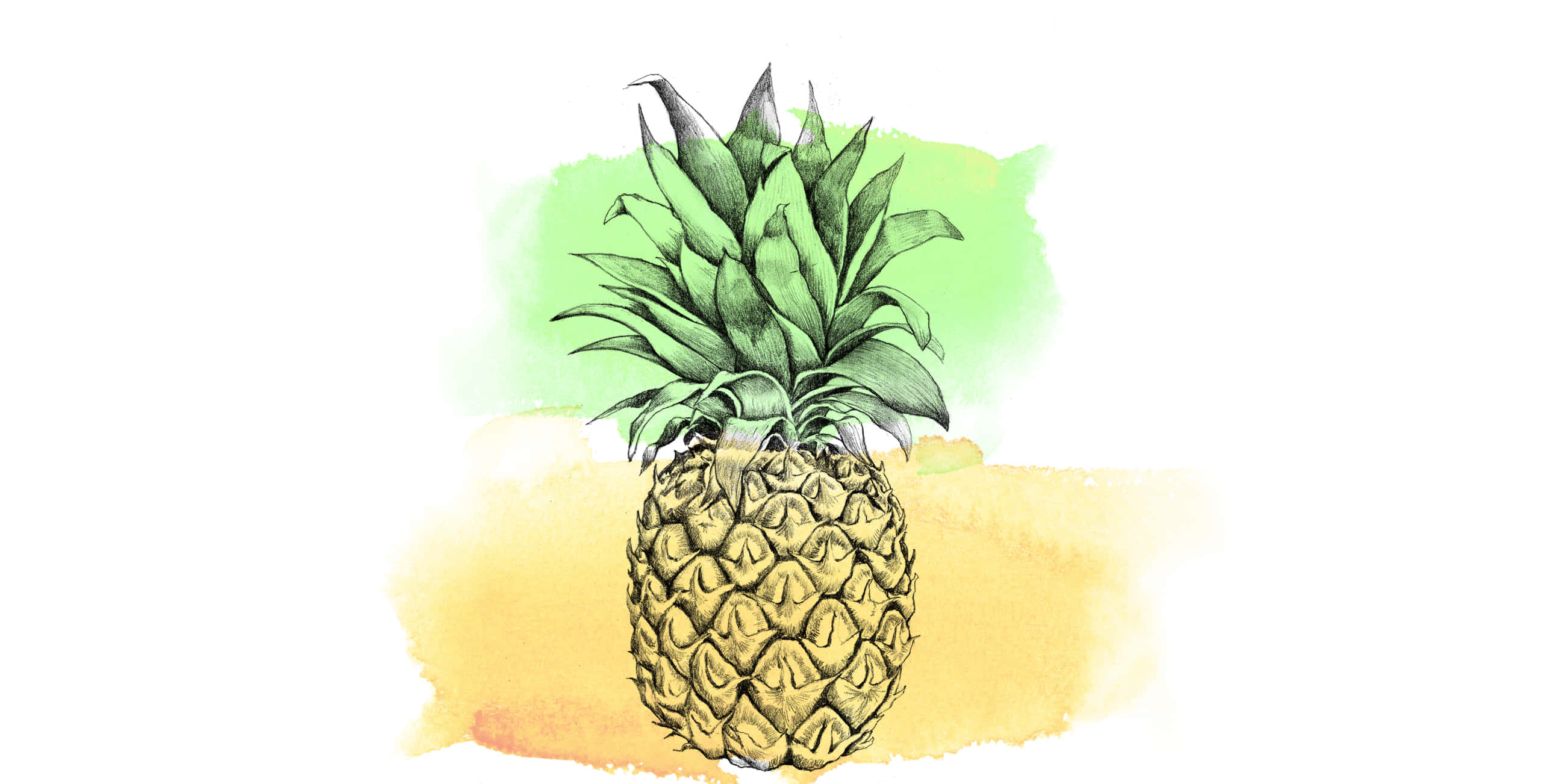 Pineapple Desktop 桌布 壁紙 — 一個詳細的鳳梨，帶有綠色葉子和紋理皮膚，放在柔和的綠色和黃色水彩背景上。