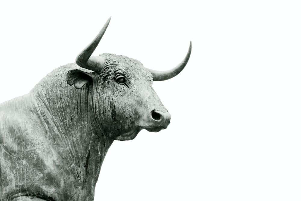 bull 桌布 壁紙 — 一個詳細的黑白公牛頭雕像，帶有彎曲的角，襯托在純白色背景上。
