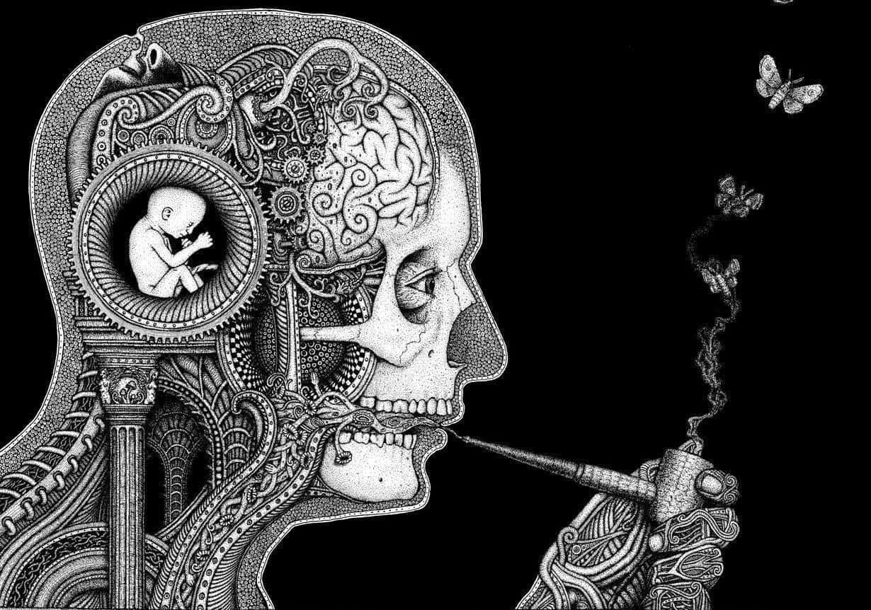 Dark Surrealism 桌布 壁紙 — 一個詳細的黑白插圖，描繪了頭骨側面，帶有複雜的內部機制、圓形腔室中的胎兒，以及從管道中飛出的蝴蝶。