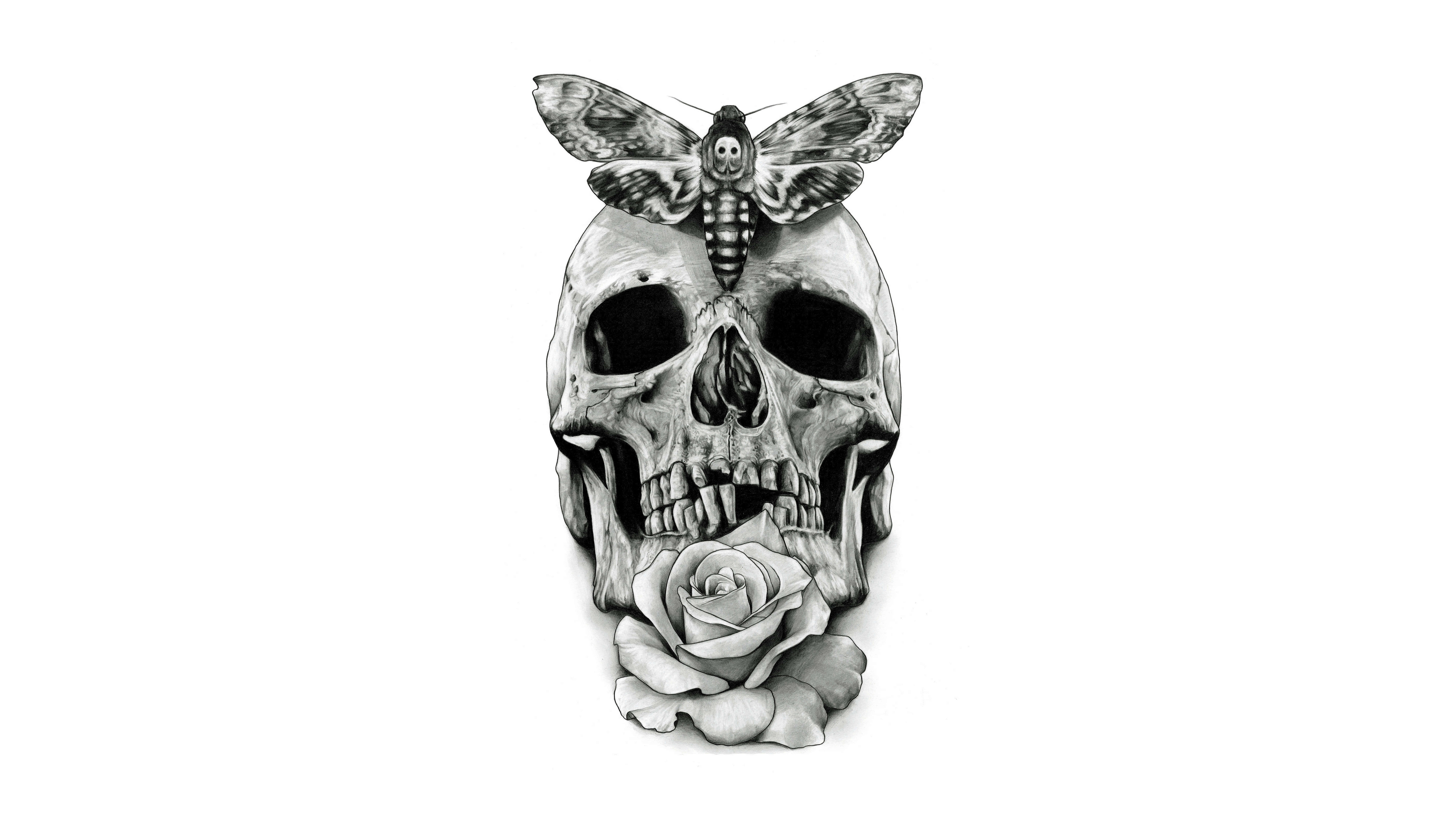 Awesome Skull 桌布 壁紙 — 一個詳細的黑白插圖，描繪人類頭骨，頂部棲息著一隻飛蛾，下顎綻放出一朵玫瑰。