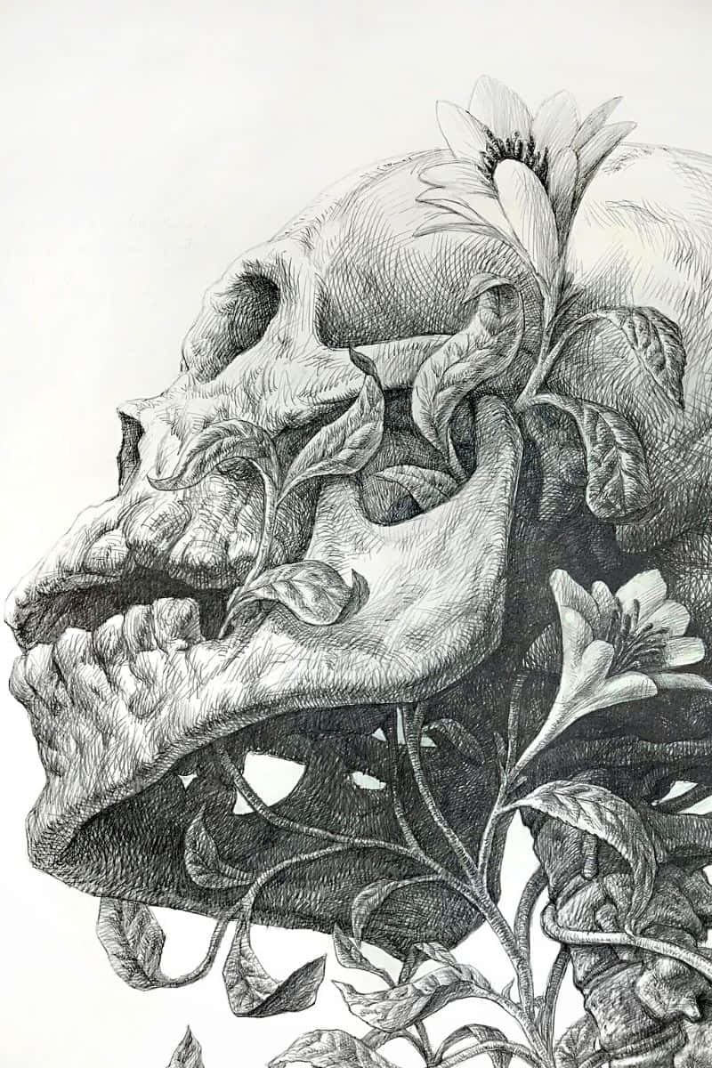 骷髏動圖 桌布 壁紙 — 一個詳細的黑白插圖，描繪人類頭骨與盛開的花朵和藤蔓交織在一起。