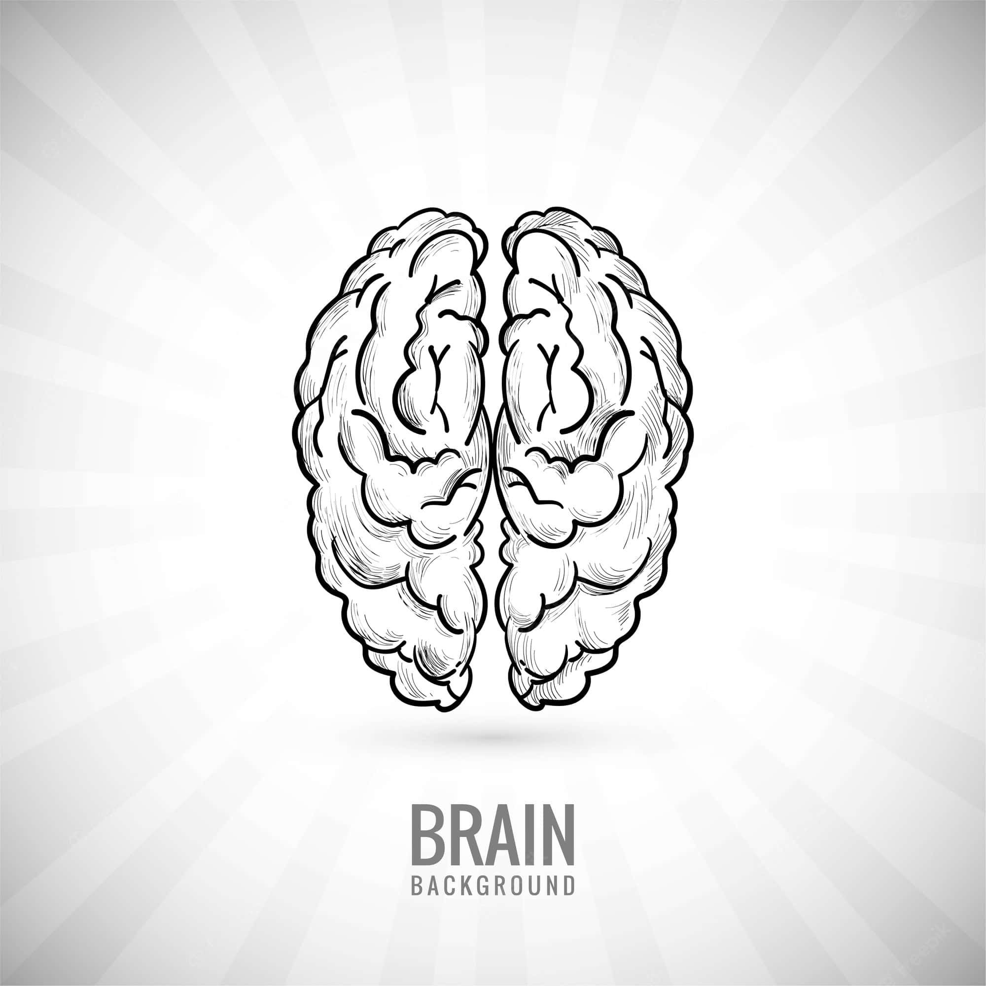 Brain 桌布 壁紙 — 一個詳細的黑白線條畫，描繪一個人腦，居中於徑向漸變背景上。