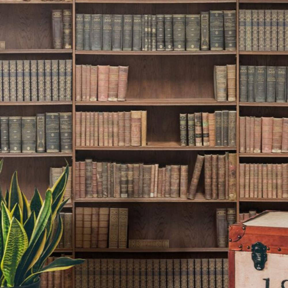 Plant 桌布 壁紙 — 一個豐富的木書架，裝滿了復古皮革裝訂的書籍，旁邊有一個紅色行李箱和一株蛇植物。