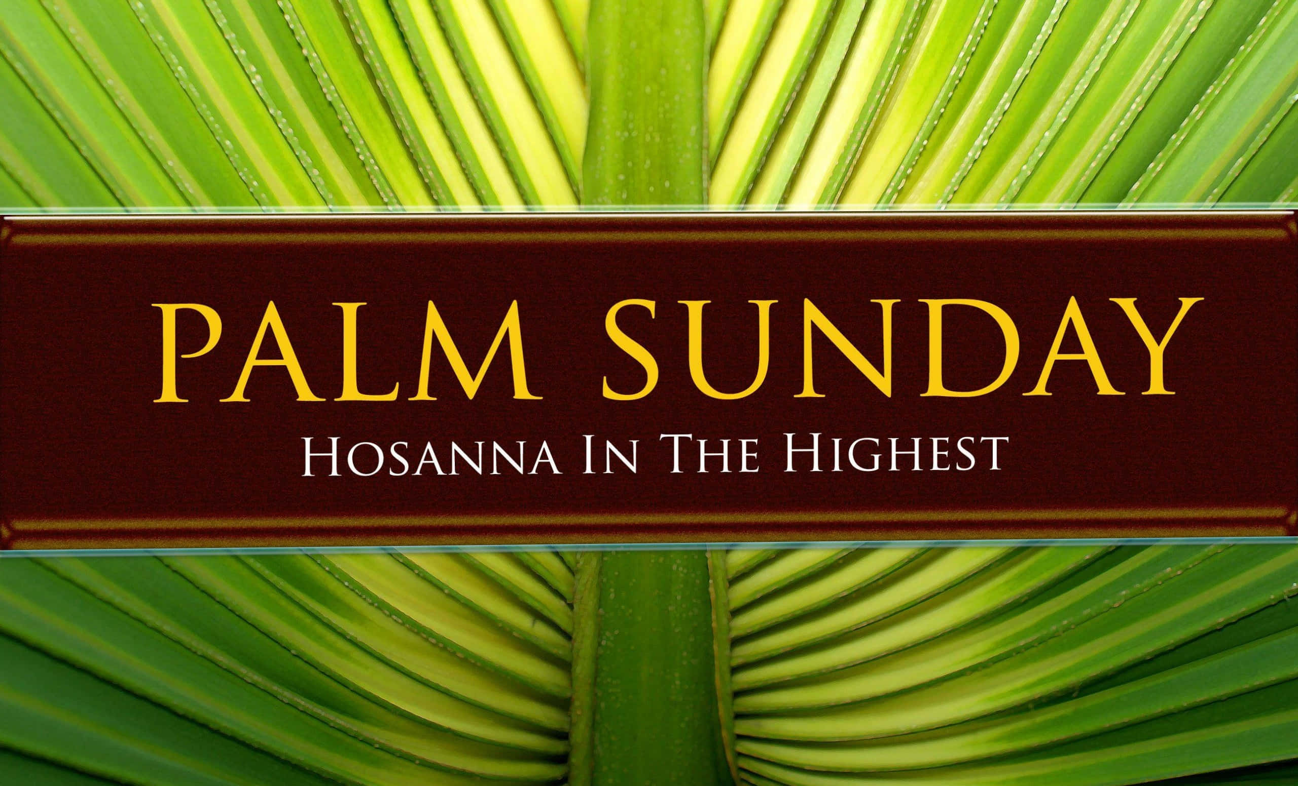 sunday blessings 桌布 壁紙 — 一個豐富的栗色橫幅，上面有金色和白色的文字，寫著棕枝主日 和散那歸於至高者，背景是充滿活力的綠色棕櫚葉。