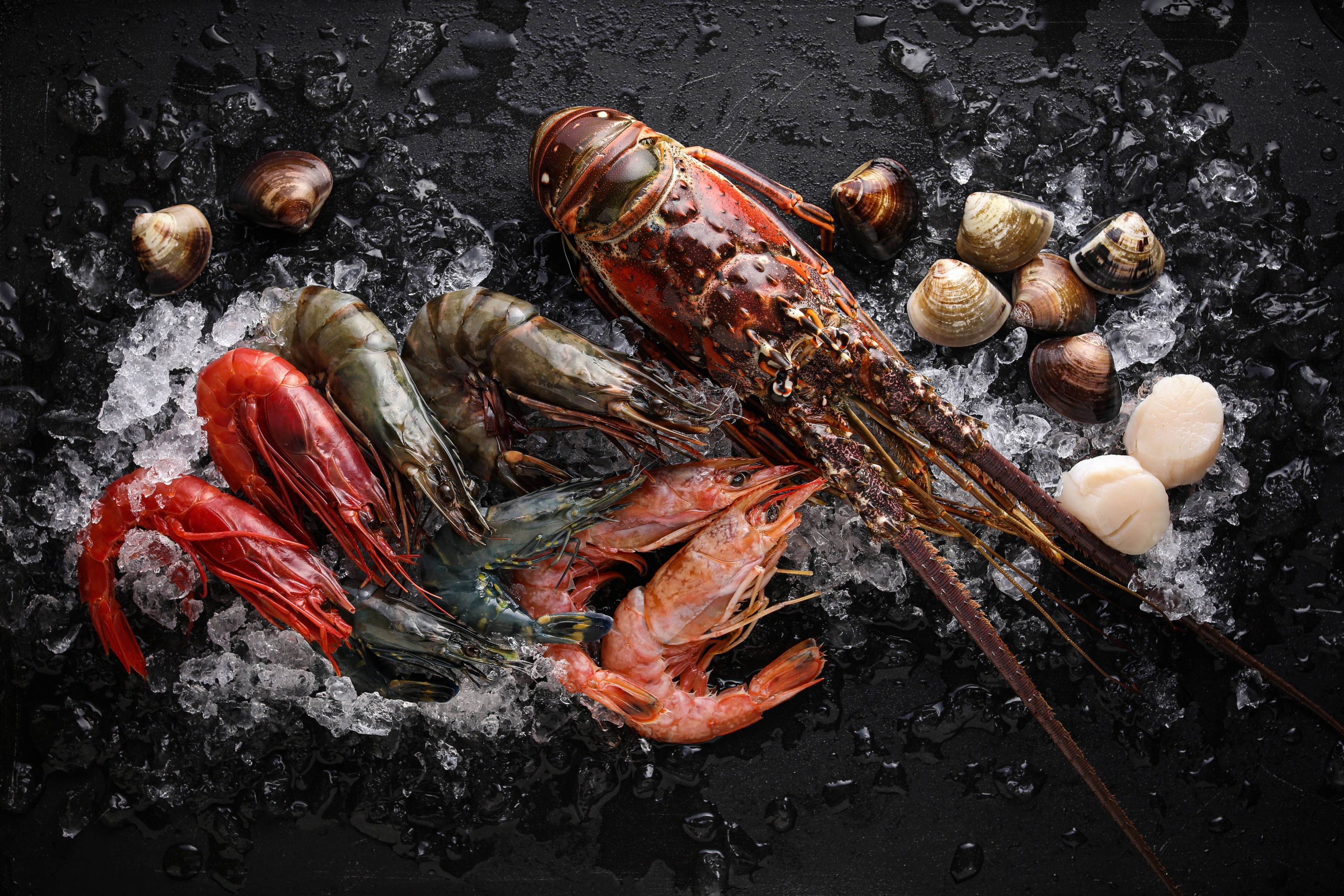 Seafood 桌布 壁紙 — 一個豪華的海鮮拼盤，包含鮮豔的龍蝦、各式蝦子和扇貝，放在碎冰上，襯托在深色紋理背景前。