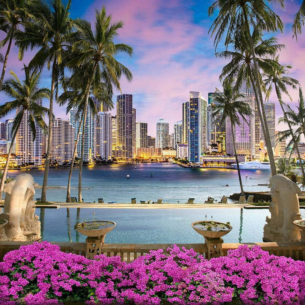Miami 桌布 壁紙 — 一個豪華的無邊際泳池，四周環繞著棕櫚樹和粉紅色花朵，俯瞰著暮色中閃爍的城市天際線。