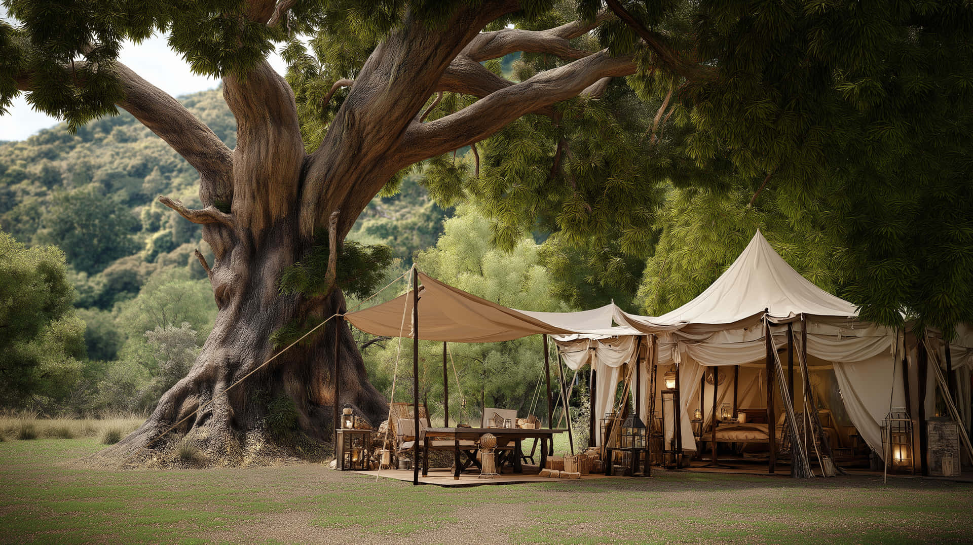 Luxury Glamping Tent Under Majestic Ancient Tree Canopy 壁紙 — 一個豪華的野生動物園營地，配有奶油色帳篷和木製家具，坐落在翠綠山谷中一棵巨大古樹的枝椏下。