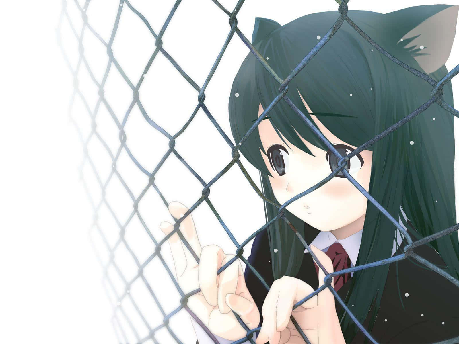 neko 桌布 壁紙 — 一個貓耳動漫少女穿著校服，透過鐵絲網圍欄溫柔地凝視著。