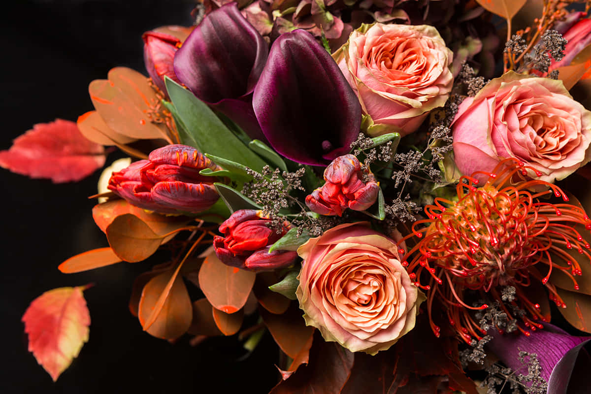 Fall Flowers 桌布 壁紙 — 一個質感豐富的花藝佈置，以深紫色馬蹄蓮、蜜桃玫瑰和火紅色的帝王花為特色，襯托黑色背景。