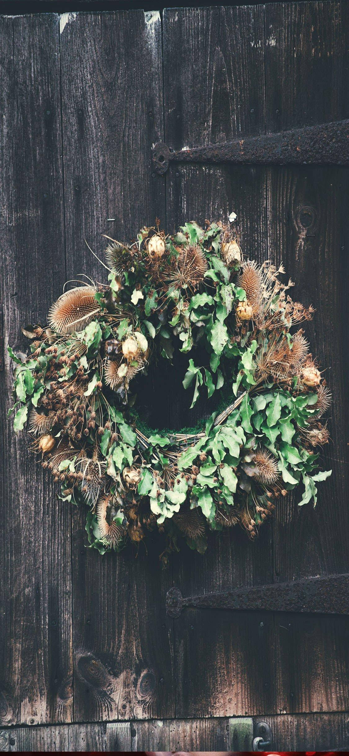 Wreath 桌布 壁紙 — 一個質樸的乾燥薊和葉子花環掛在帶有金屬鉸鏈的風化深色木門上。