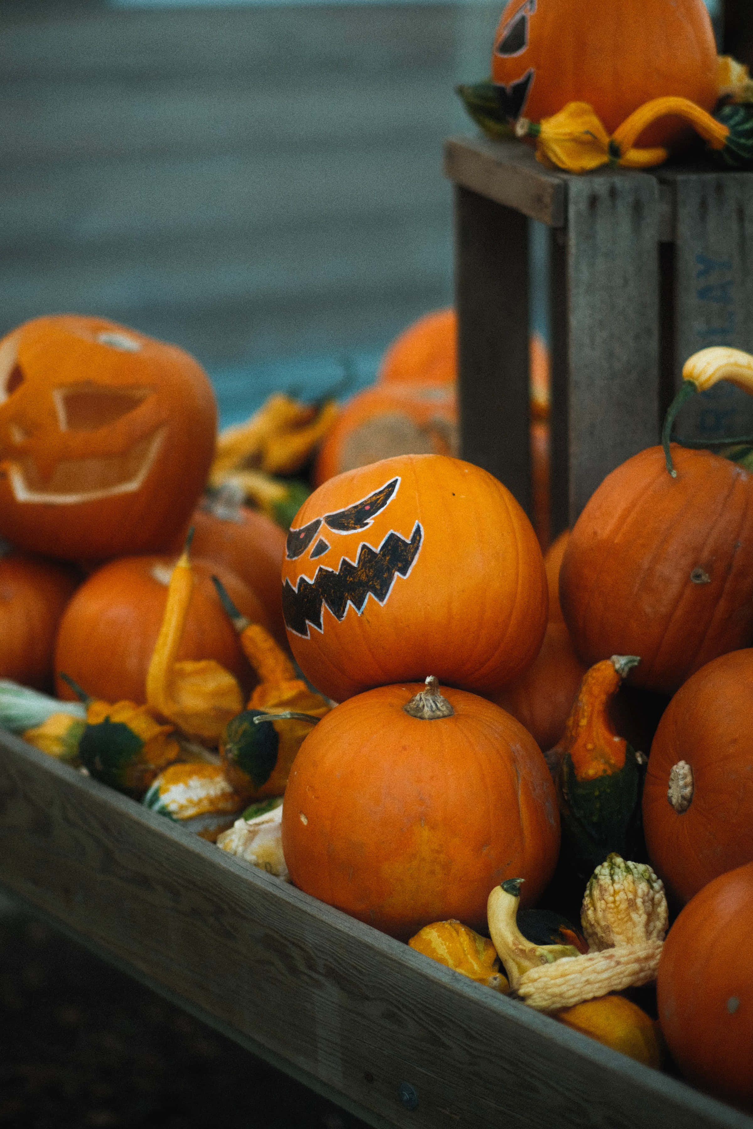 jack o'lantern 桌布 壁紙 — 一個質樸的木箱，裝滿了橙色南瓜，其中一些雕刻著鋸齒狀的黑色傑克南瓜燈臉孔，周圍環繞著葫蘆。