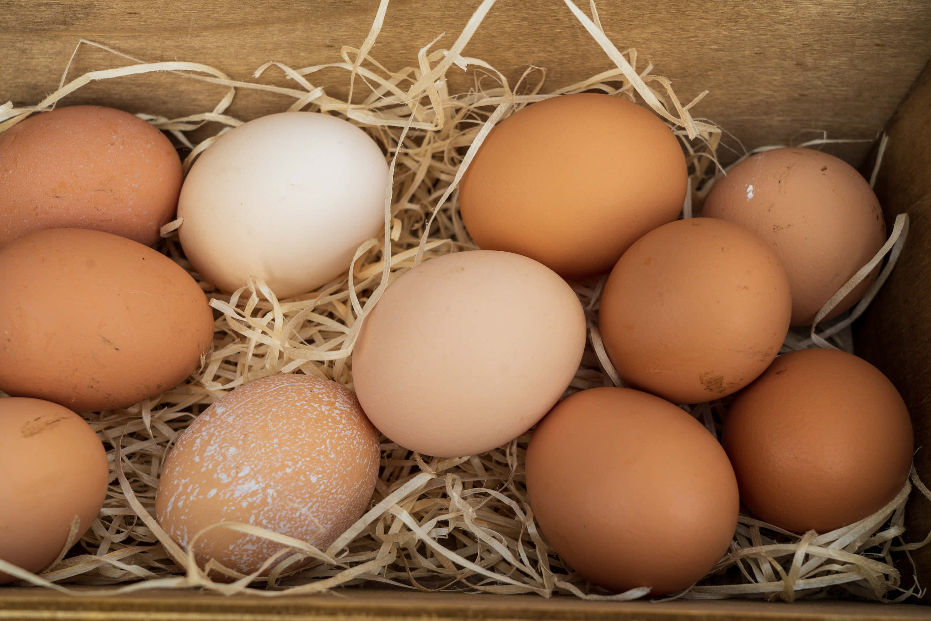 Brown Eggs 桌布 壁紙 — 一個質樸的木箱，裡面裝滿了各種棕色和白色的雞蛋，放在稻草中。