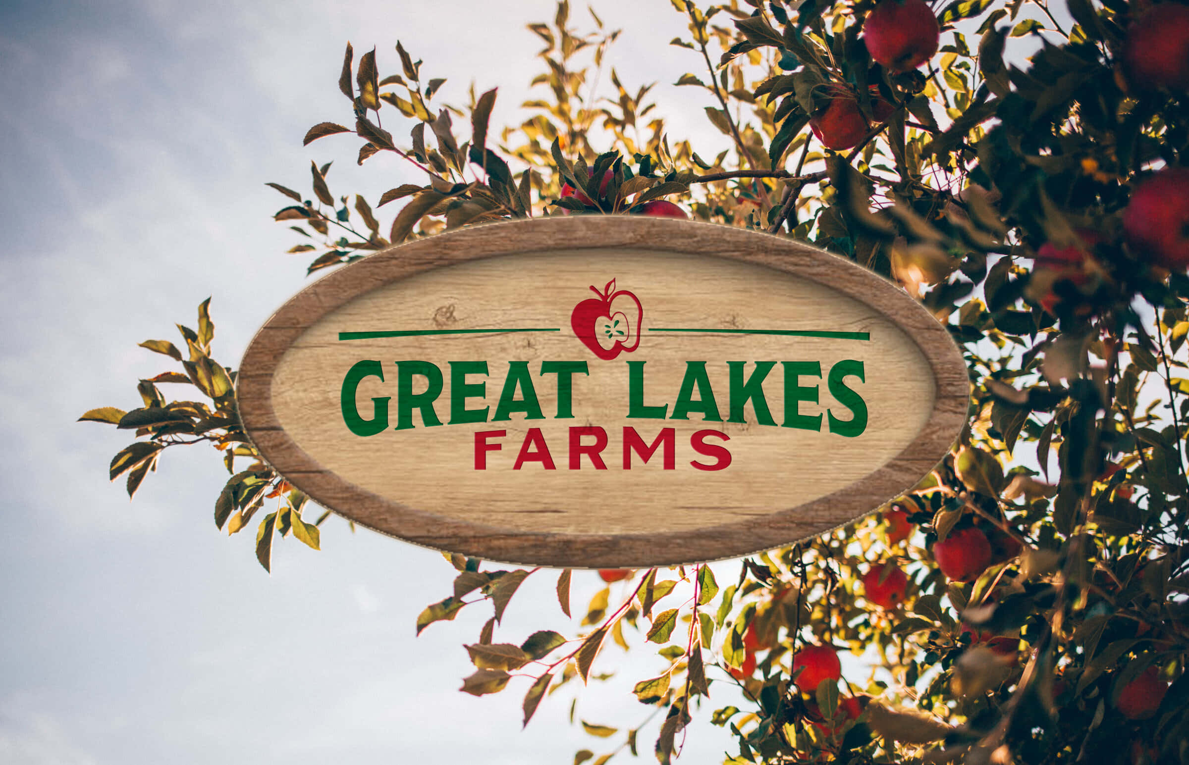 Farm 桌布 壁紙 — 一個質樸的木製招牌，上面寫著 Great Lakes Farms，掛在陽光普照、結滿成熟紅蘋果的蘋果樹枝之間。