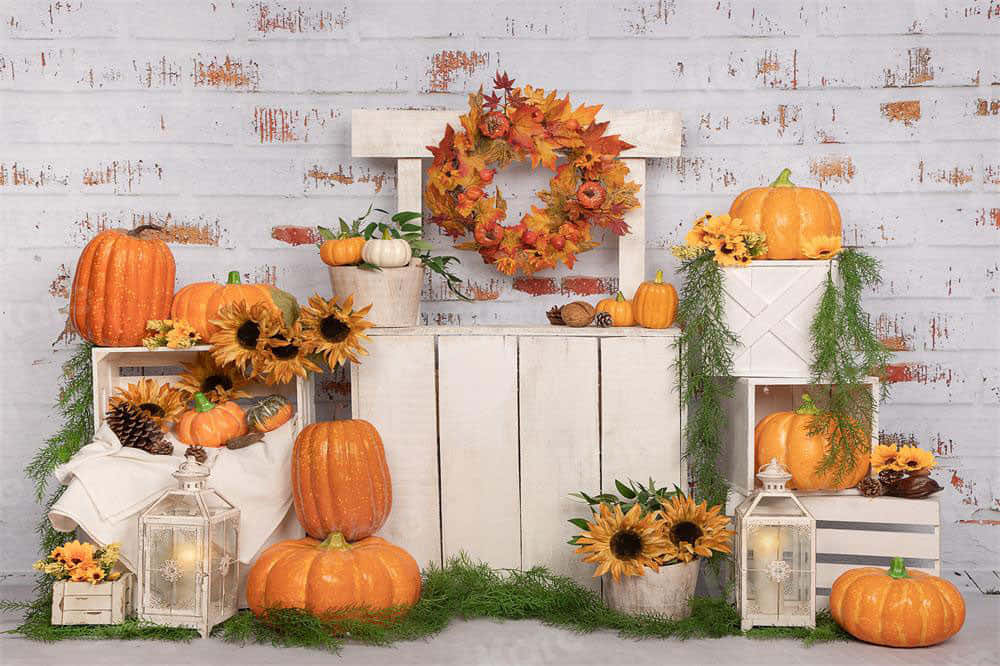 Fall Thanksgiving 桌布 壁紙 — 一個質樸的秋季場景，南瓜、向日葵和燈籠擺放在白色木箱上，背景是風化的磚牆。