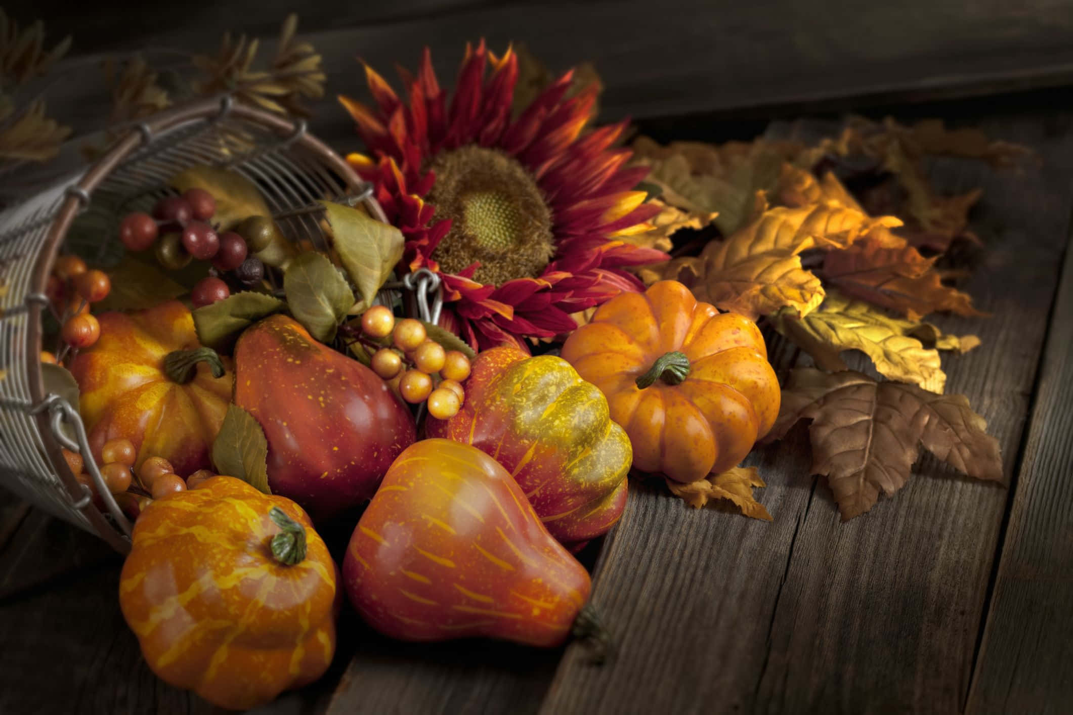 Fall Cornucopia 桌布 壁紙 — 一個質樸的秋日靜物，有南瓜、葫蘆、漿果和一朵向日葵從鐵絲籃子裡溢出，落在風化的木頭上。