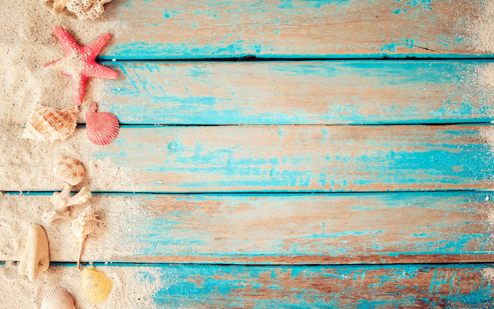 貝殼 桌布 壁紙 — 一個質樸的藍綠色木板表面，撒上沙粒，並裝飾著色彩繽紛的貝殼和海星。