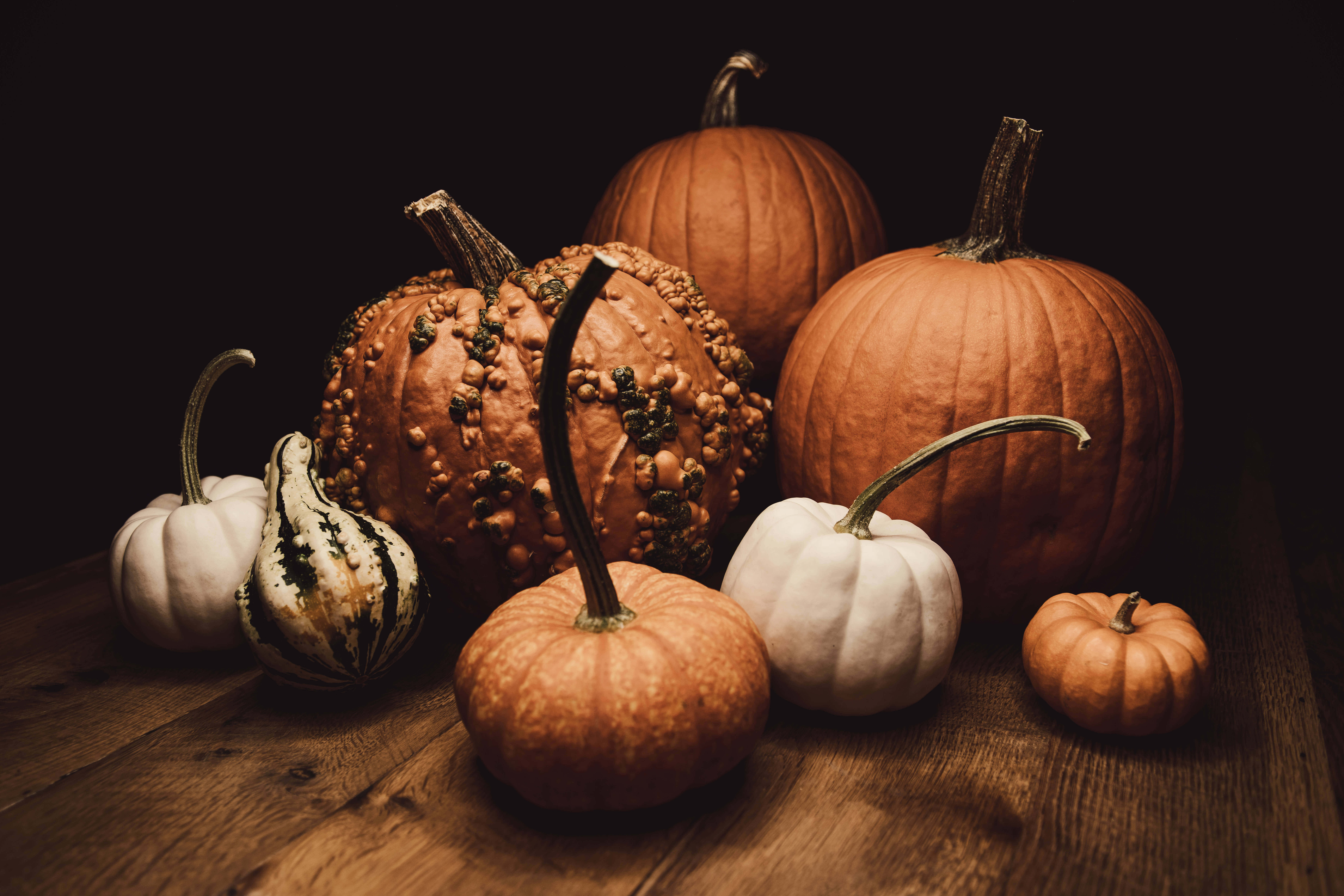 Fall Aesthetic Macbook 桌布 壁紙 — 一個質樸的靜物畫，展示各種南瓜和葫蘆擺放在風化的木桌上，背景為深色。