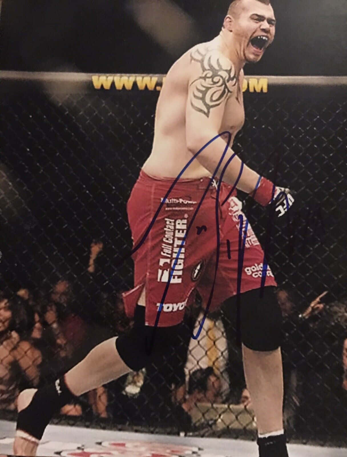 martial arts 桌布 壁紙 — 一個赤裸上身的戰士，身上有部落紋身，在紅色短褲的籠子裡，鐵絲網後面的人群中發出勝利的咆哮。