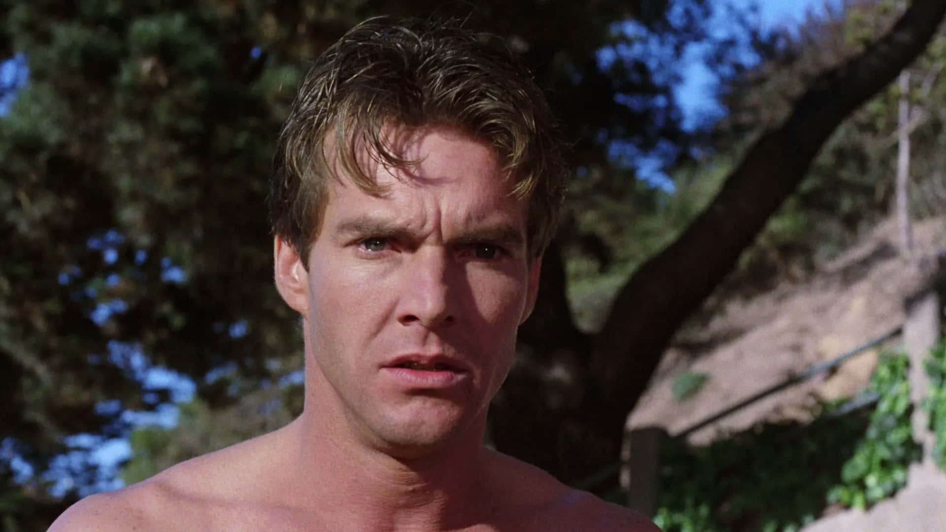 Dennis Quaid 桌布 壁紙 — 一個赤裸上身的男人，眼神銳利，在明亮的陽光穿過茂密樹葉照射下向前凝視。