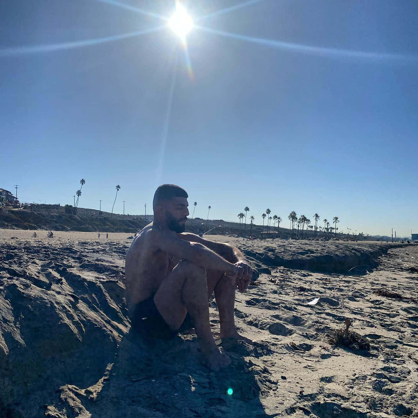 Sunny Day 桌布 壁紙 — 一個赤裸上身的男人坐在陽光照耀的沙灘上沉思，背景有棕櫚樹和明亮的藍天。
