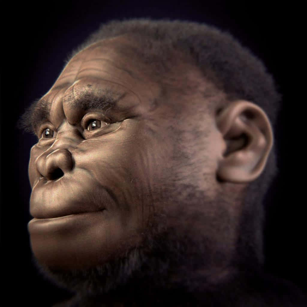 Ape 桌布 壁紙 — 一個超寫實的3D渲染特寫，展示一個原始人面孔，擁有強烈的眼睛和紋理皮膚，背景為深色。