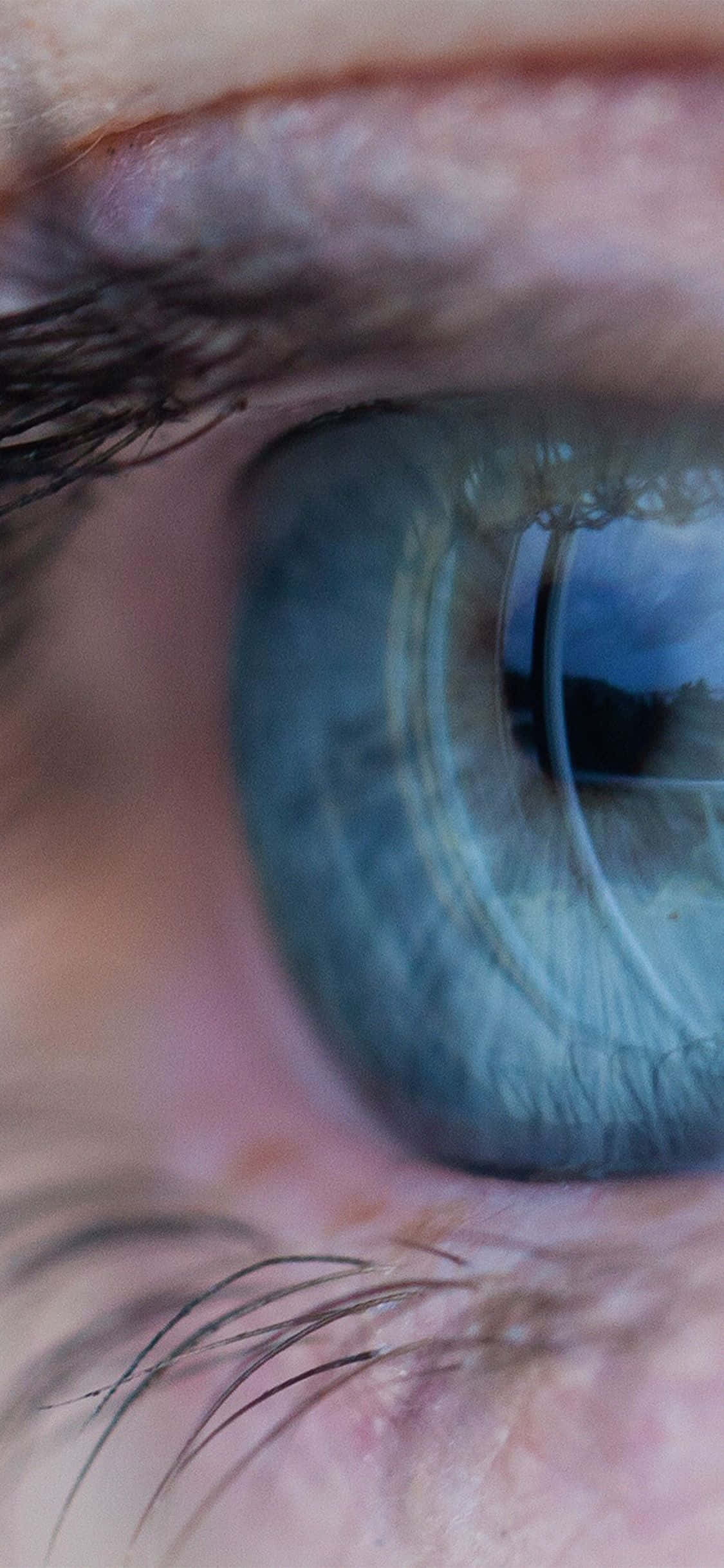 Eyes 桌布 壁紙 — 一個超寫實的人類眼睛特寫，帶有藍色虹膜和詳細的皮膚紋理。