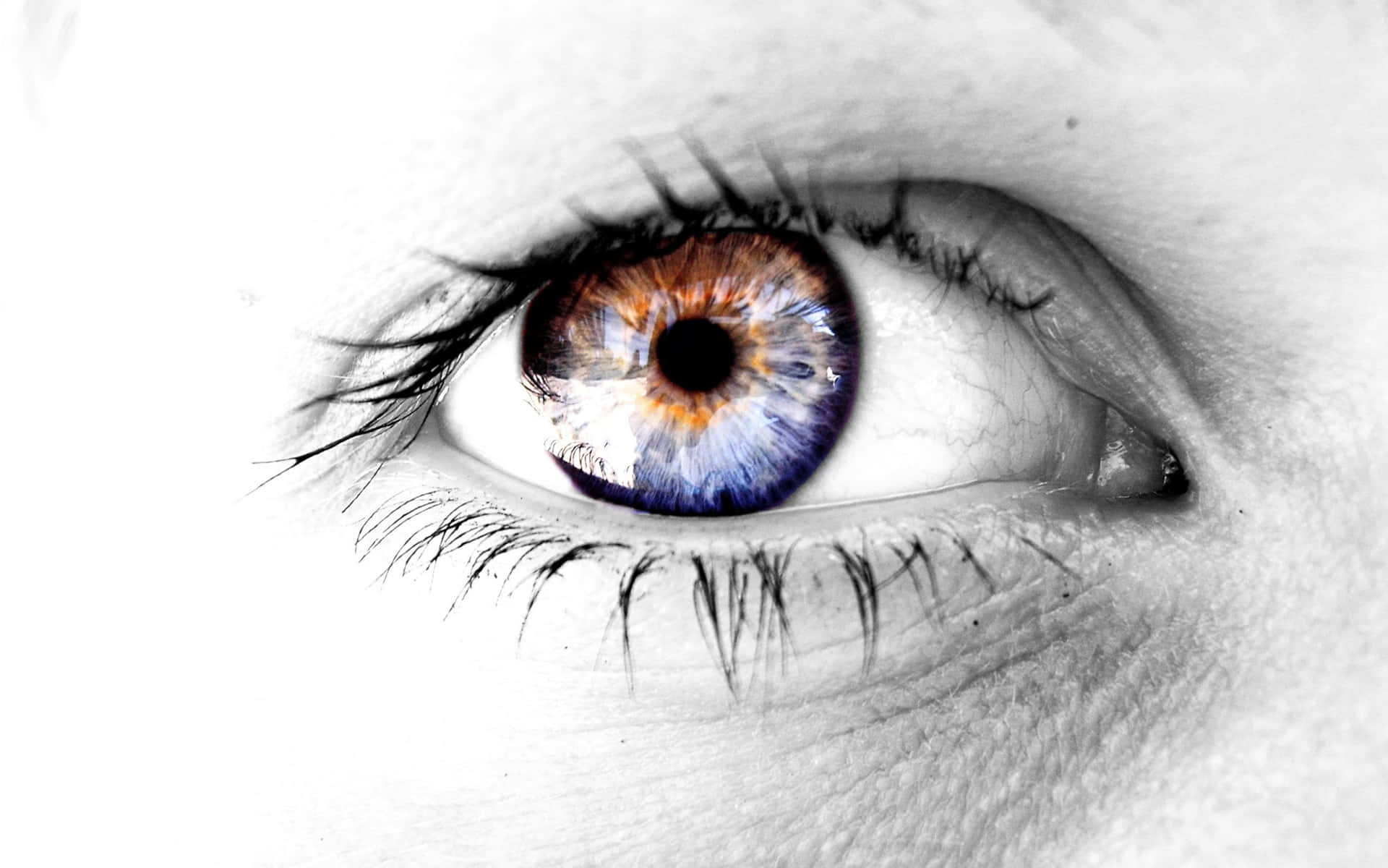 Eyeball 桌布 壁紙 — 一個超寫實的人類眼睛特寫，虹膜呈現鮮豔的藍色和棕色，背景為單色皮膚。