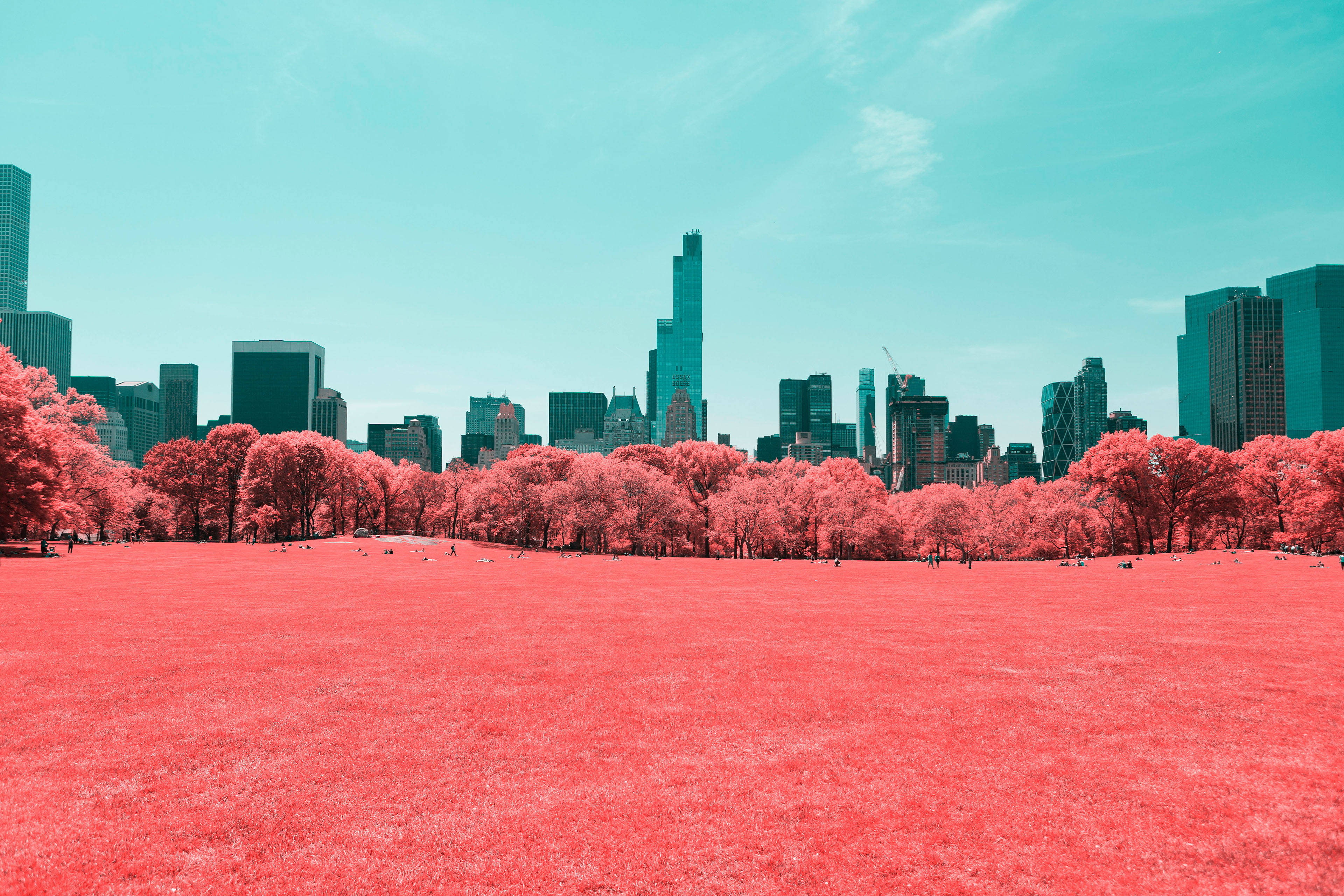 new york 4K 桌布 壁紙 — 一個超現實的公園，有充滿活力的粉紅色草地和樹木，在青色的天空下，遠處有城市天際線。