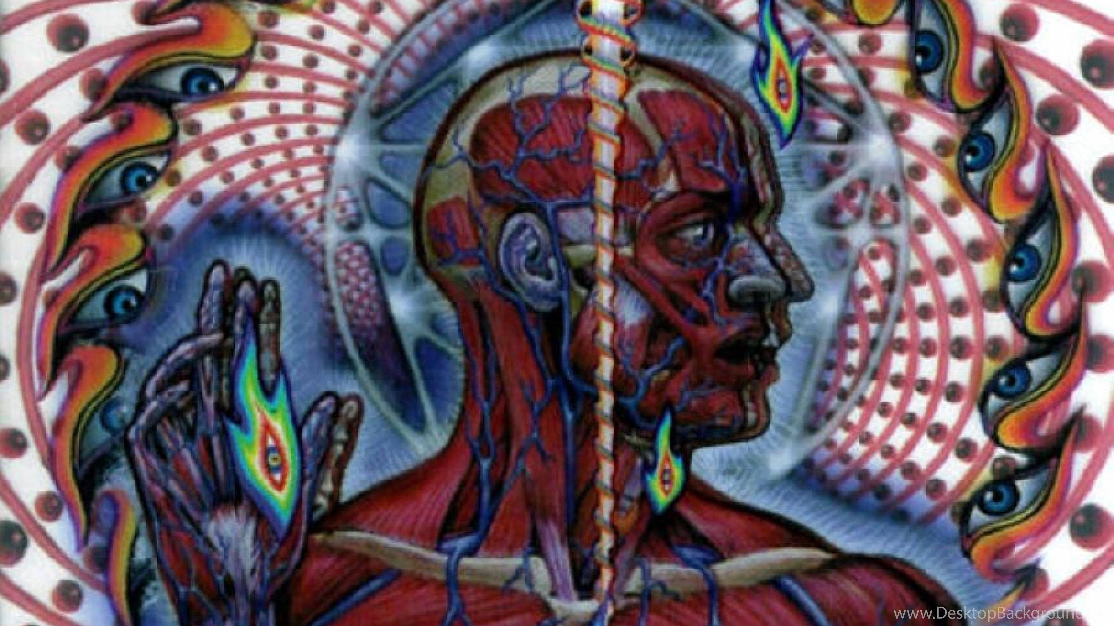 工具 桌布 壁紙 — 一個超現實的數位藝術肖像，描繪人類頭部和手部，露出紅色肌肉和藍色靜脈，周圍環繞著迷幻的眼睛和漩渦圖案。